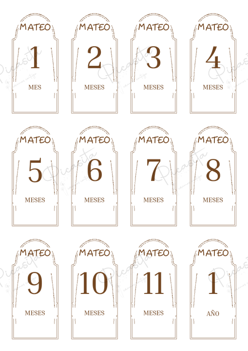 Diseño Arco botánico del set de cumplemeses personalizados