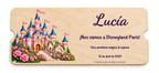 Simulation numérique d’une invitation illustrée à Disneyland Paris sur contreplaqué ; l’aspect réel peut varier.